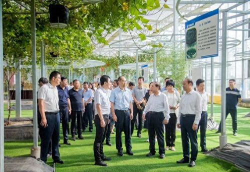 科普之花處處開 豐碩成果全民享 臨沂市開展2023年全國科普活動