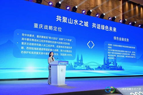 2025綠色金融生態(tài)大會(huì)在渝舉行，銀河棉業(yè)擘畫(huà)可持續(xù)發(fā)展新藍(lán)圖